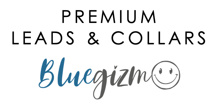 Bluegizm